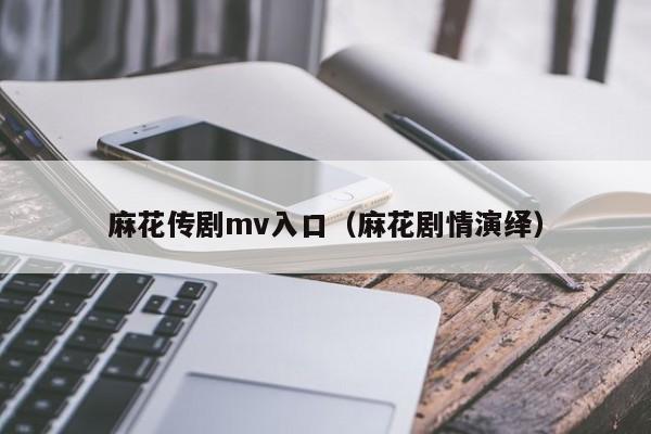 麻花传剧mv入口（麻花剧情演绎）